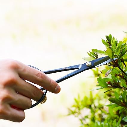 GIKOH SATSUKI Bonsai Scissors 180㎜ ,Black 3 GIKOH SATSUKI Bonsai Scissors 180㎜ ,Black - Зображення 3